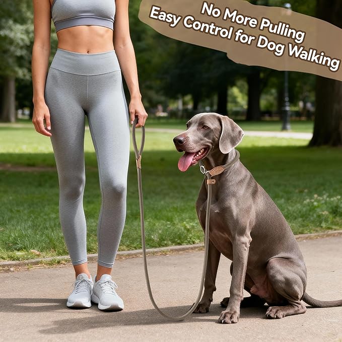 Mile High Life Slip Lead Dog Leash - 4FT, 5FT, 6FT Heavy Duty Rope Leash for No Pull Training, Durable Braided Dog Lead with Leather Stopper & Tip for Medium Large Dogs