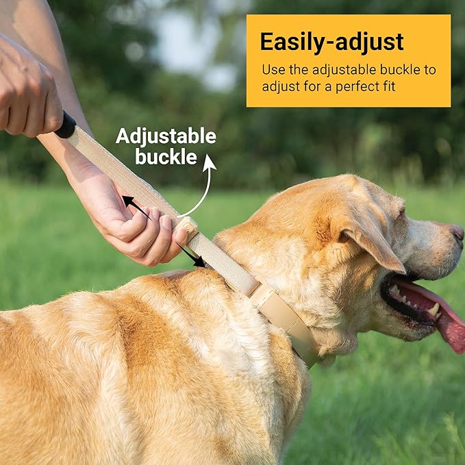 SVD.PET Dog Prong Collar for No-Pull Training, Quick-Release Buckle Adjustable Pinch Collar for Small Dogs (Tan, Small Size, Suitable Neck Girth: 7"-10")