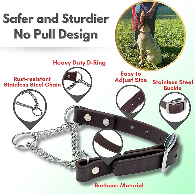 Martingale Collar for Dogs, Biothane, Stainless Steel Hardware, No Pull, Made in The USA, Professional Grade, Large, Brown