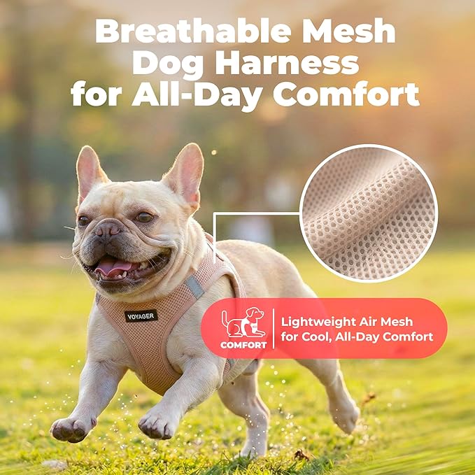 Best Pet Supplies Voyager Step-in Air Harness - All Weather Mesh, Reflective, No Pull Harness for Dogs, Cats - Secure with Hook & Loop Fastener, Buckle, Double D-Rings - Khaki, M