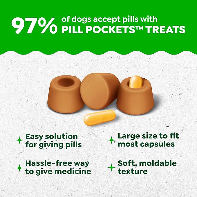 Greenies Pill Pockets for Dogs Large Size, Dog Treat Pouch for Capsule Medication, Peanut Butter Flavor, 7.9 oz. Pouch
