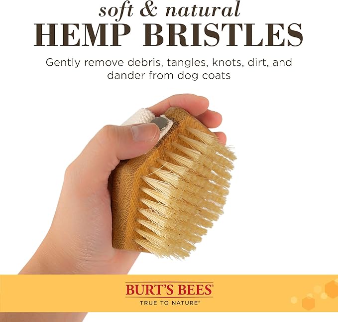 Burt's Bees for Pets Palm Brush with Hemp Bristles Best Ergonomic Dog Brush To Groom Large Dogs Easy to Hold Dog Brush Handle Reduces Stress On Your Wrist Ideal for Daily Grooming (Pack of 24)