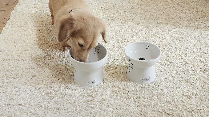 Necoichi Raised Dog Water Bowl, Elevated, for dogs and cats, pets feeding feeder Non-slip for small dogs Dishwasher and Microwave Safe, No.1 Seller in Japan! (Dog, Water Bowl)