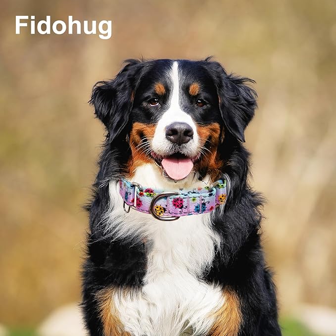 Reflective Martingale Collar for Dogs Nylon Training Collar with No Buckle, No Pull Adjustable Dog Collar for Medium Dogs（Gradient Ladybug，M）