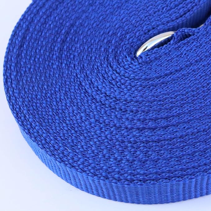 Dog Leash Puppy Obedience Recall Training Agility Lead 30ft, Great for Play, Camping, or Backyard