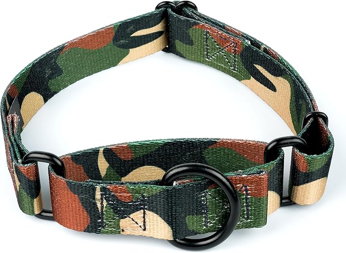 Country Brook Petz - Woodland Camo HD Martingale Dog Collar - Camouflage Collection Featuring Rugged Designs (1 Inch, Large)