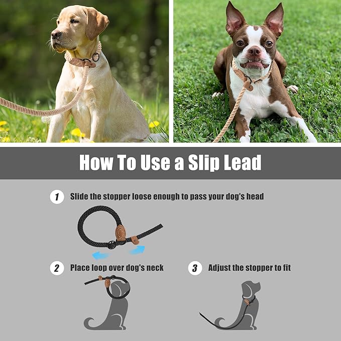 Mile High Life Slip Leads for Dogs | Heavy Duty Dog Training Leash | 5 Feet No Pull Slip Leashes w Leather Tip | Braided Rope Lead for Dogs Outside
