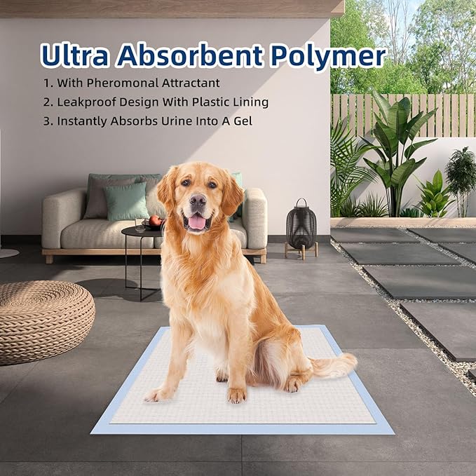 HONEY CARE All-Absorb, XXL 30"x36", 30 Count, Dog and Puppy Training Pads, Ultra Absorbent and Odor Eliminating, Leak-Proof 5-Layer Potty Training Pads with Quick-Dry Surface, Blue, A39