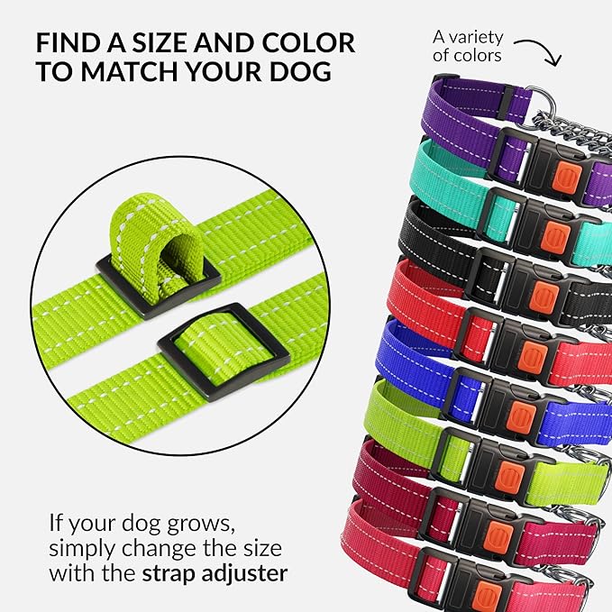 CollarDirect Martingale Dog Collar with Stainless Steel Chain and Quick Release Buckle - Reflective Collar for Large, Medium, Small Dogs - Lime Green, Large (Neck Size 17"-22")
