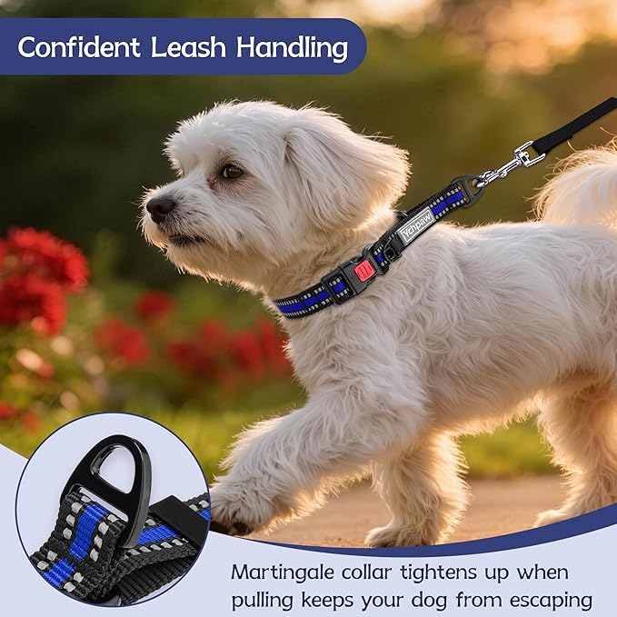 Martingale Collar for Dogs Reflective Collar with Quick Release Buckle, Adjustable Nylon Collars for No Slip Dog Collar, Blue, XS