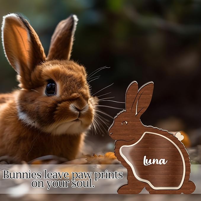 Personalized Rabbit Memorial Keepsake Unique Wooden Bunny Fur Box Collar Holder Sympathy Pet Loss Gift Memorial Storing Hair Ashes Standable Tabletop Decor Gift Idea for Pet Lover Family Friends