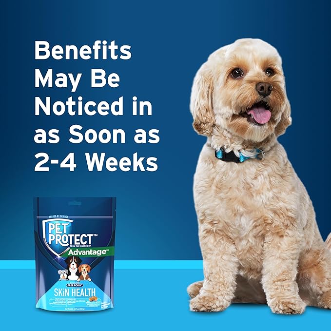 Pet Protect Skin Health Supplement for Dogs, Proprietary Free Form Blend, Bacon-Flavored Soft Chews (60 Count)