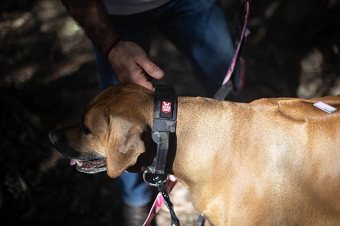 Boss Dog Tactical Collar, Black Camo, Small
