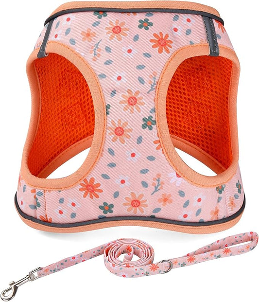 Step in Dog Harness and Leash Set, Reflective Adjustable No Pull Dog Harness for Small Medium Dogs Puppy and Cats, Soft Padded Mesh Vest Harnesses for Girl and Boy Pets(Orange Floral,M)