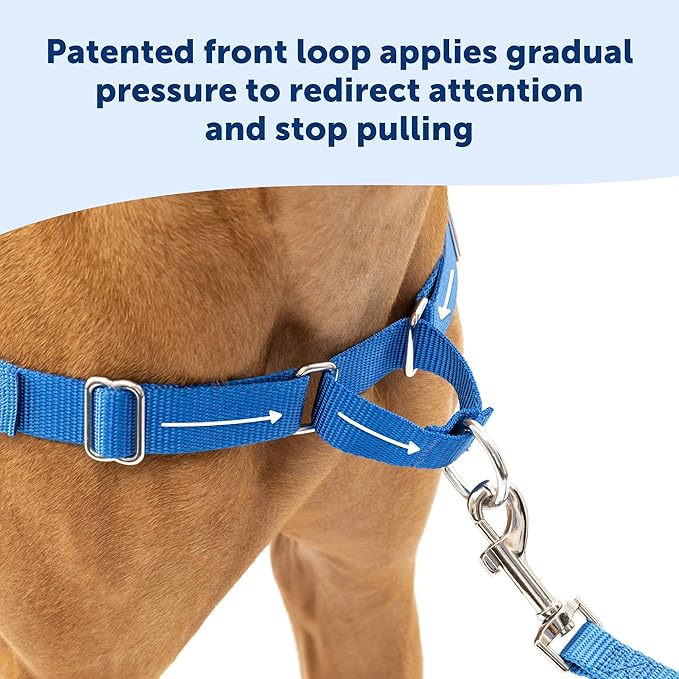 PetSafe Easy Walk Harness for Dogs - Pull-Free Walks - Patented Martingale Loop Design - Front Chest Leash Attachment - Comfort Straps - Breathable Harness Design - Small, Apple Green/Gray