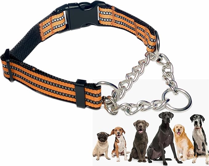 Martingale Collars for Dogs, Heavy Duty Stainless Steel Chain Training Collar, Reflective Nylon Adjustable Collar with Quick Release Buckle, Suitable for Puppy Medium Large Dogs (Orange, M)