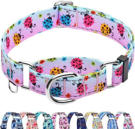 Reflective Martingale Collar for Dogs Nylon Training Collar with No Buckle, No Pull Adjustable Dog Collar for Small Dogs（Gradient Ladybug，S）