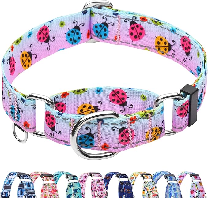 Reflective Martingale Collar for Dogs Nylon Training Collar with No Buckle, No Pull Adjustable Dog Collar for Medium Dogs（Gradient Ladybug，M）