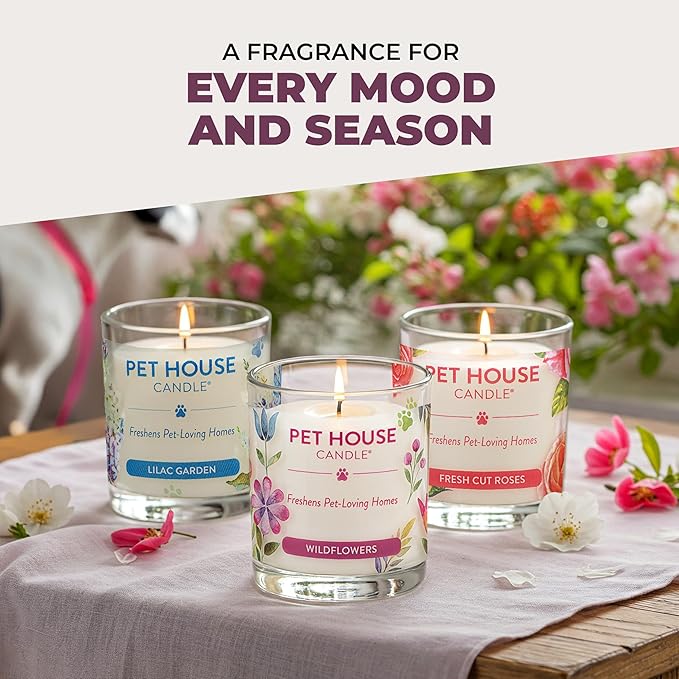 Pet House Candles, Scented Pet Friendly Candles, Clean Burning Plant-Based with a Natural Fiber Wick - BlackBerry Tea, 9 oz, 2 Pack