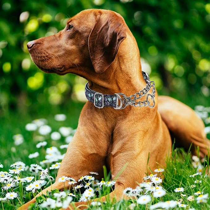 Martingale Dog Collar with Chain,Heavy-Duty Training Collar with No Buckle -No-Pull Dog Collar with Skull Pattern for Medium Large Extra Large and XXL Dogs (Skull XL)