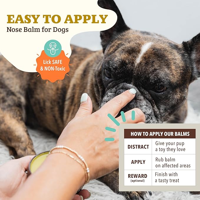 Natural Dog Company Snout Soother Balm – Dog Nose Balm for Dry Cracked Snouts, Moisturizing Winter Nose Care with Coconut Oil & Shea Butter, Lick Safe Dog Snout Balm for All Breeds, 2 oz Tin