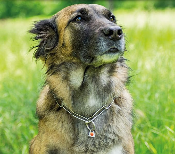 Herm Sprenger - Matte Stainless Steel Scratch Resistant Long Link Fur Saver Dog Collar - Professional Training Collar - Made in Germany (26in (65cm) x 3.0mm)