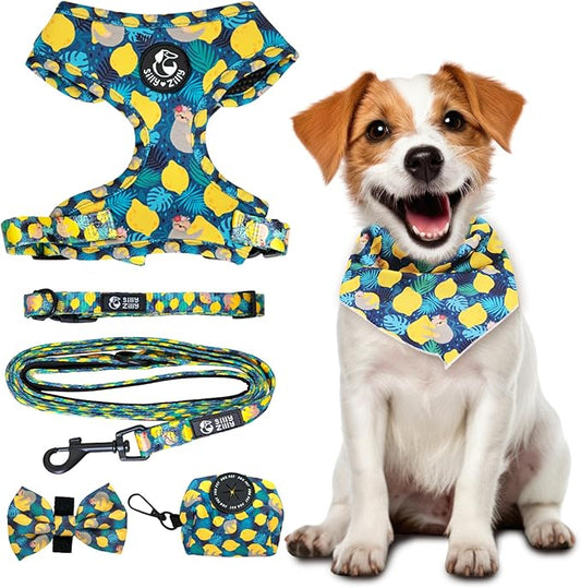 No Pull Harness and Leash Set - 6-in-1 Adjustable Vest Harness and Collars for Medium and Large Dogs. (Lemon, Medium)