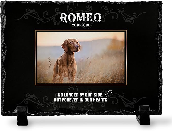 Brd Gifts Pet Memorial Stone with Photo - 6"x8" - 6 Designs - Pet Grave Marker - Pet Headstone | Dog Memorial Stone - Garden Memorial Stones - Personalized Memorial | Waterproof - Outdoor & Indoor #1