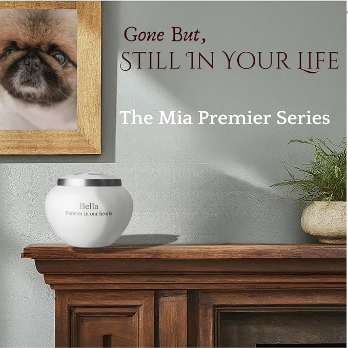 Mia Paws Premier Series Pet Urn for Dogs and Cats with Personalized Laser Engraving (Small - Pets up to 20 lbs, Cloud White, Pewter Paw)