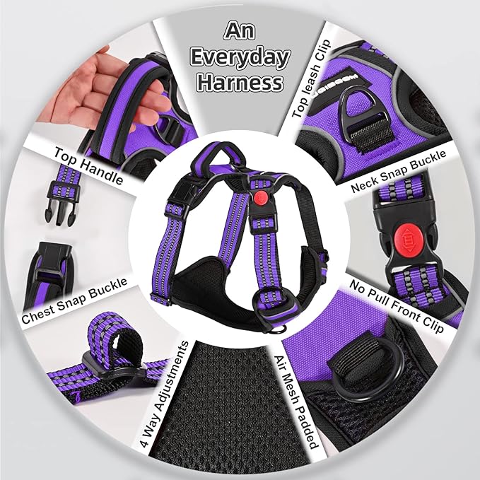 No Pull Dog Harness with A Free Heavy Duty 5ft Dog Leash, Adjustable Soft Padded Dog Vest, Reflective No-Choke Pet Oxford Vest with Easy Control Handle for Small and Large Dogs (Purple, Small)
