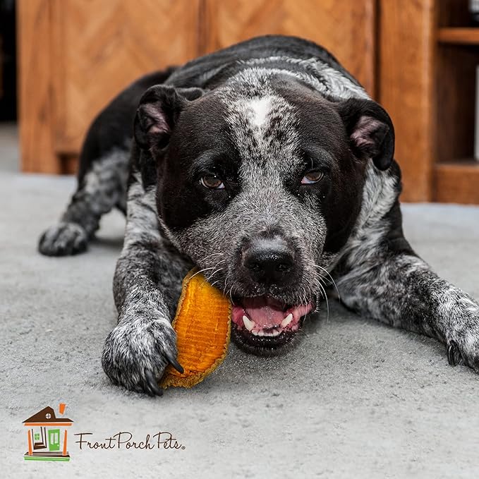 Sams Yams Sweet Potato Dog Treats, Healthy Dog Treats for Large Dogs - Sweet Potato Dog Treats Made in USA, High Fiber, Vegan Dental Chews - Big Boyz, Sweet Potato Dog Chewz, 15oz (Pack of 6)