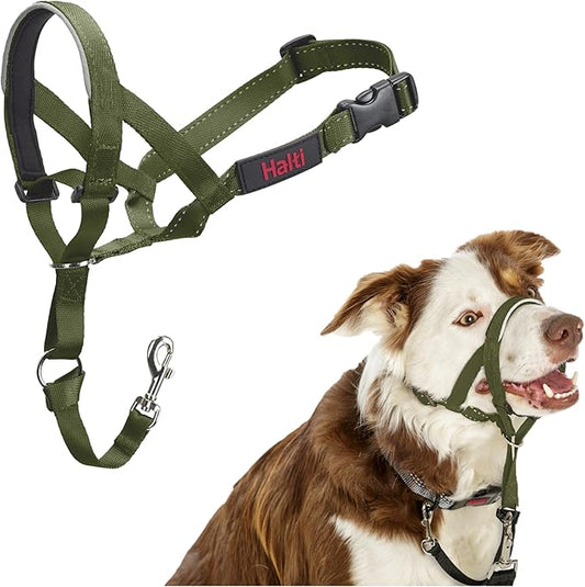 Halti Headcollar - Stop Your Dog Pulling on The Leash. Adjustable, Reflective and Lightweight, with Padded Nose Band. Dog Training Anti-Pull Collar for Medium Dogs (Size 2, Forest Green)