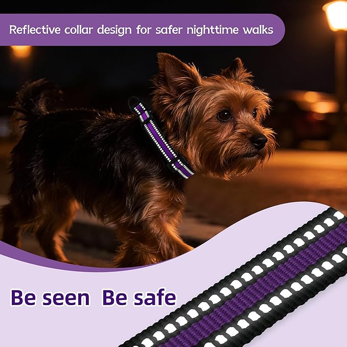 Martingale Collar for Dogs Reflective Collar with Quick Release Buckle, Adjustable Nylon Collars for No Slip Dog Collar, Purple, XS