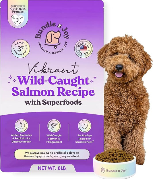 Bundle x Joy Vibrant Salmon Probiotic Dog Food Dry, 8lb Bag, Allergy and Gut-Friendly Adult Kibble for Digestive Health with Wild-Caught Salmon, 20 Plant Based Superfoods, Beef and Poultry Free
