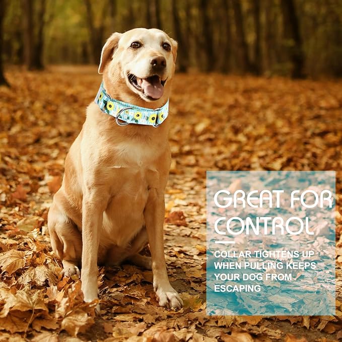 Martingale Dog Collar for Small Dogs，No-Slip Escape Proof Choke No Pull Sunflower Dog Collar for Male and Female Dogs for Walking Running Training -M