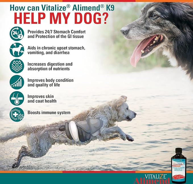 Vitalize Alimend K9 - Dog Upset Stomach Relief for Nausea, Vomiting & Diarrhea - 6 Oz
