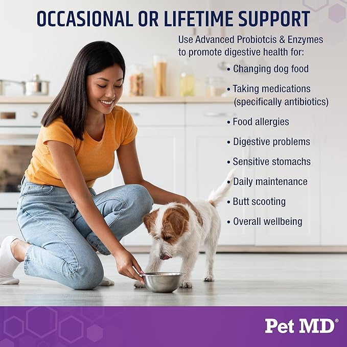 Pet MD Probiotics & Enzymes for Dogs - Gut Health Chews with Prebiotics - Digestive Aid for Dogs with Upset Stomach, Diarrhea, Constipation, or Gas - Functional Probiotics for Canines - 60 ct