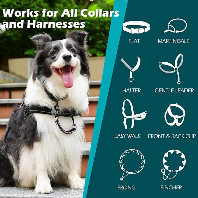 PetBonus Dog Collar Safety Clip, Handmade Backup Safety Strap for Dog Harness, Prong, Pinch Collar, Double Ended Clasp Leash Connector (Black, Grey)