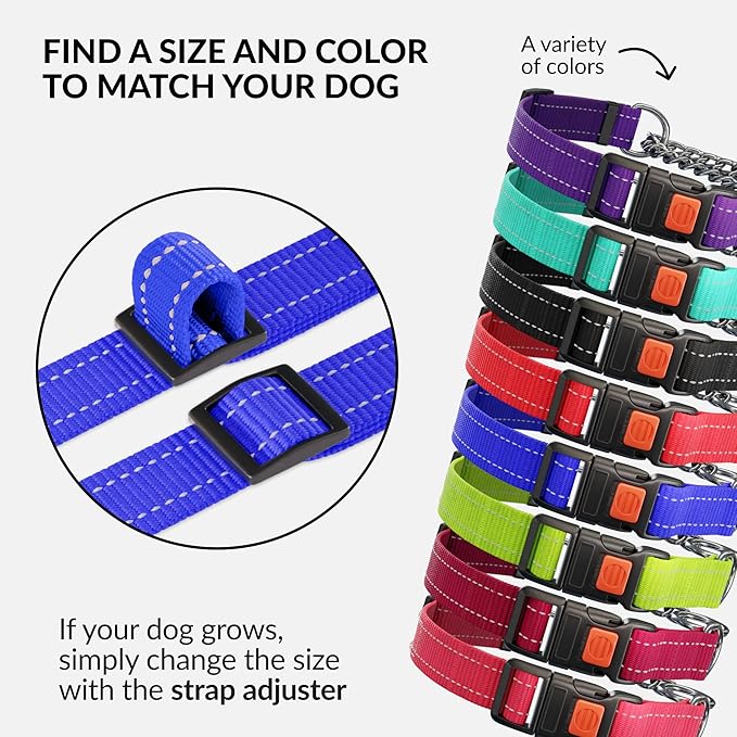 CollarDirect Martingale Dog Collar with Stainless Steel Chain and Quick Release Buckle - Reflective Collar for Large, Medium, Small Dogs - Blue, Large (Neck Size 17"-22")