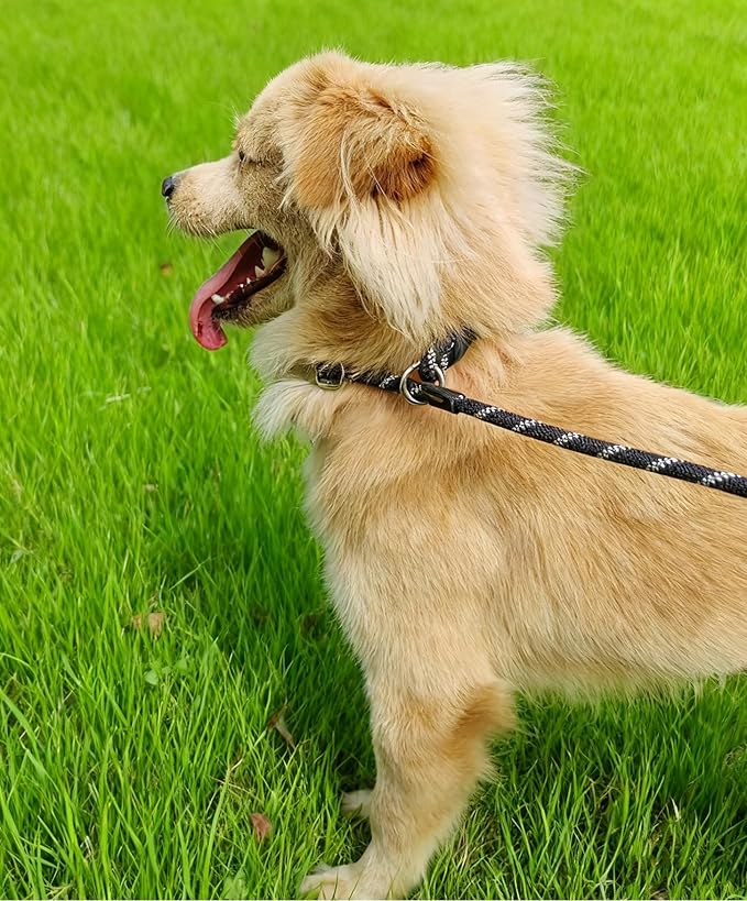 12FT Long Slip Lead Leash, 20ft 30ft 50ft Reflective Rope Training Lead Anti-Choking for Medium Dogs Small Puppy Pets Behavior Active Playing (Blue)
