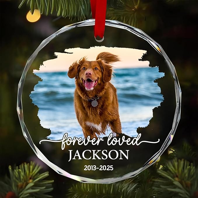 Personalized Pet Memorial Crystal Ornament - Pet Loss Gifts, Dog Memorial, Custom Pet's Photo, Dogs Sympathy Gift, Pets Condolence Gift, Pet in Memory Keepsakes, Remembrance Gifts for Cat Dog Lover