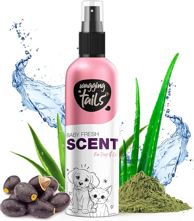 Wagging Tails Baby Fresh Pet Scent | Natural Aloe Vera & Elemi Gum Oil | Long-Lasting Deodorizing Spray for Dogs & Cats | Alcohol-Free Moisturizing Perfume Mist | 200ml (6.76 fl oz)