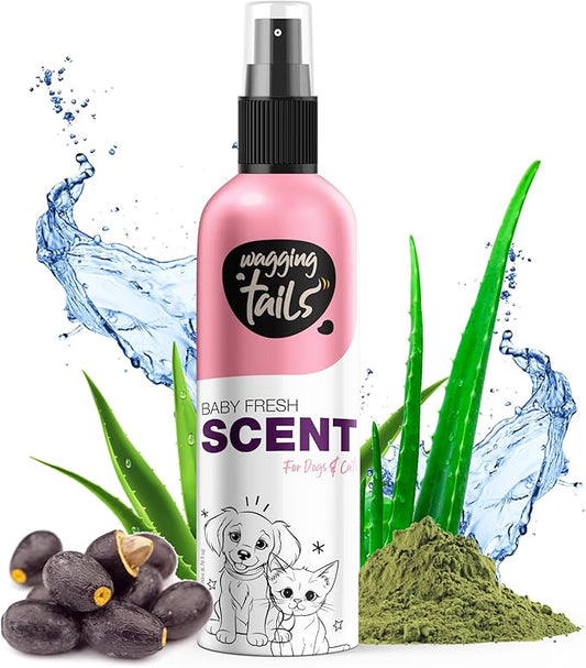 Wagging Tails Baby Fresh Pet Scent | Natural Aloe Vera & Elemi Gum Oil | Long-Lasting Deodorizing Spray for Dogs & Cats | Alcohol-Free Moisturizing Perfume Mist | 200ml (6.76 fl oz)