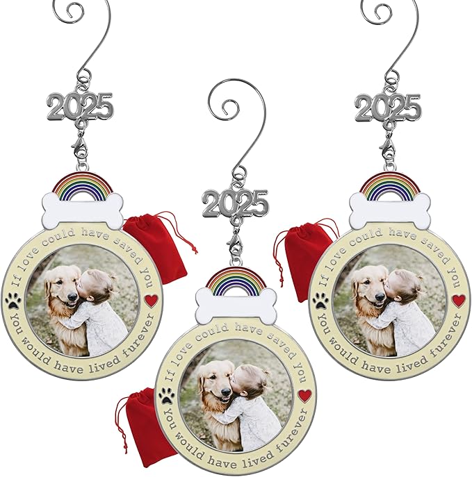 Dog Memorial Keepsake Christmas Ornaments - Set of 3-2025 Dated - If Love Could Have Saved You - Paw Prints and Heart Design - Loss of Pet Gifts - 3.5'D