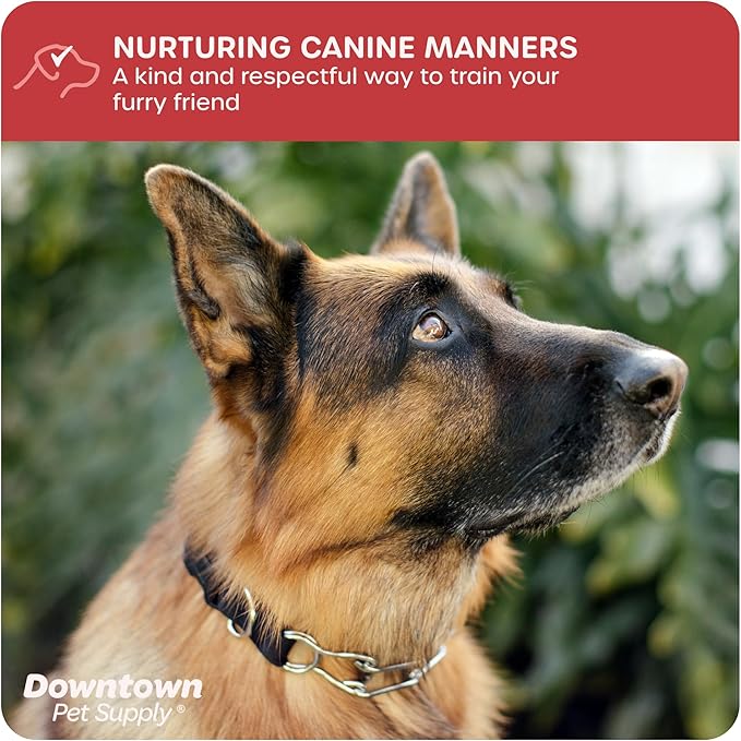 Downtown Pet Supply Chrome Plated/Nylon Prong Collar for Dogs, Large - Adjustable, No-Choke and No Pull Dog Collar with Removable Links - Pinch Collar for Dogs Over 50 lbs and 22" Neck Width