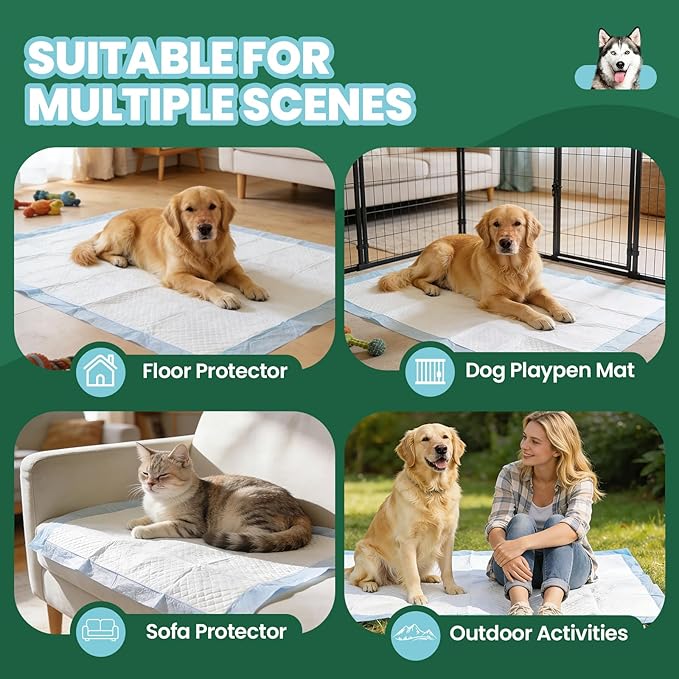 IMMCUTE Great Value Puppy Pads 30"x36", 50 Pack Pee Pads for Dogs XXL, Thicken Dog Pee Pads Extra Large for Potty Training, Disposable Leak-Proof & Absorbent Doggie Pads