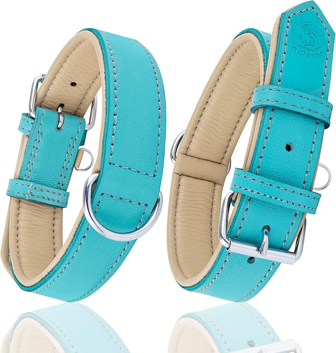 Riparo Adjustable Leather Dog Collar - Heavy Duty Wide Dog Collar for Small, Medium, Large and Extra Large Dogs with Dog Tag Holder, Blue Dog Collars (XL: 1.75" Wide for 21”-25” Neck, Aqua)