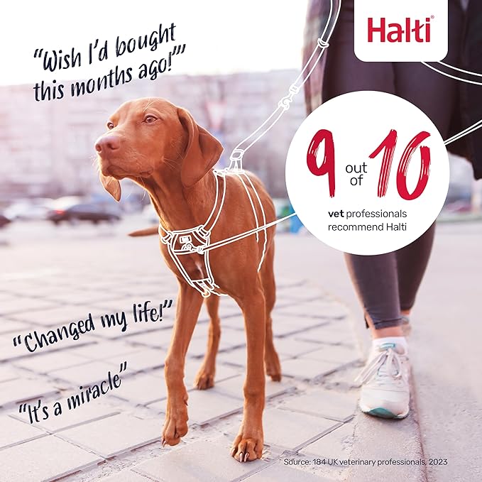 Halti No Pull Harness - Stop Your Dog Pulling on the Leash. Adjustable, Lightweight and Easy to Use. Reflective Dog Training Harness for Medium Dogs (Size M, Black)