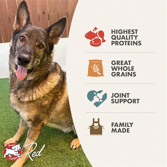 Fromm Reduced Activity Senior Gold Premium Dog Food - Senior Dry Dog Food for Medium & Small Breeds - Chicken Recipe - 5 lb
