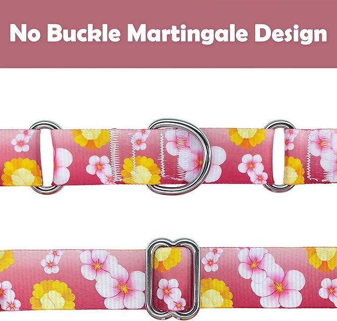 Martingale Dog Collar, Adjustable Soft No Pull Training Collar with No Buckle, Floral Pattern No Slip Martingale Collars for Medium Dogs (1" Width M)
